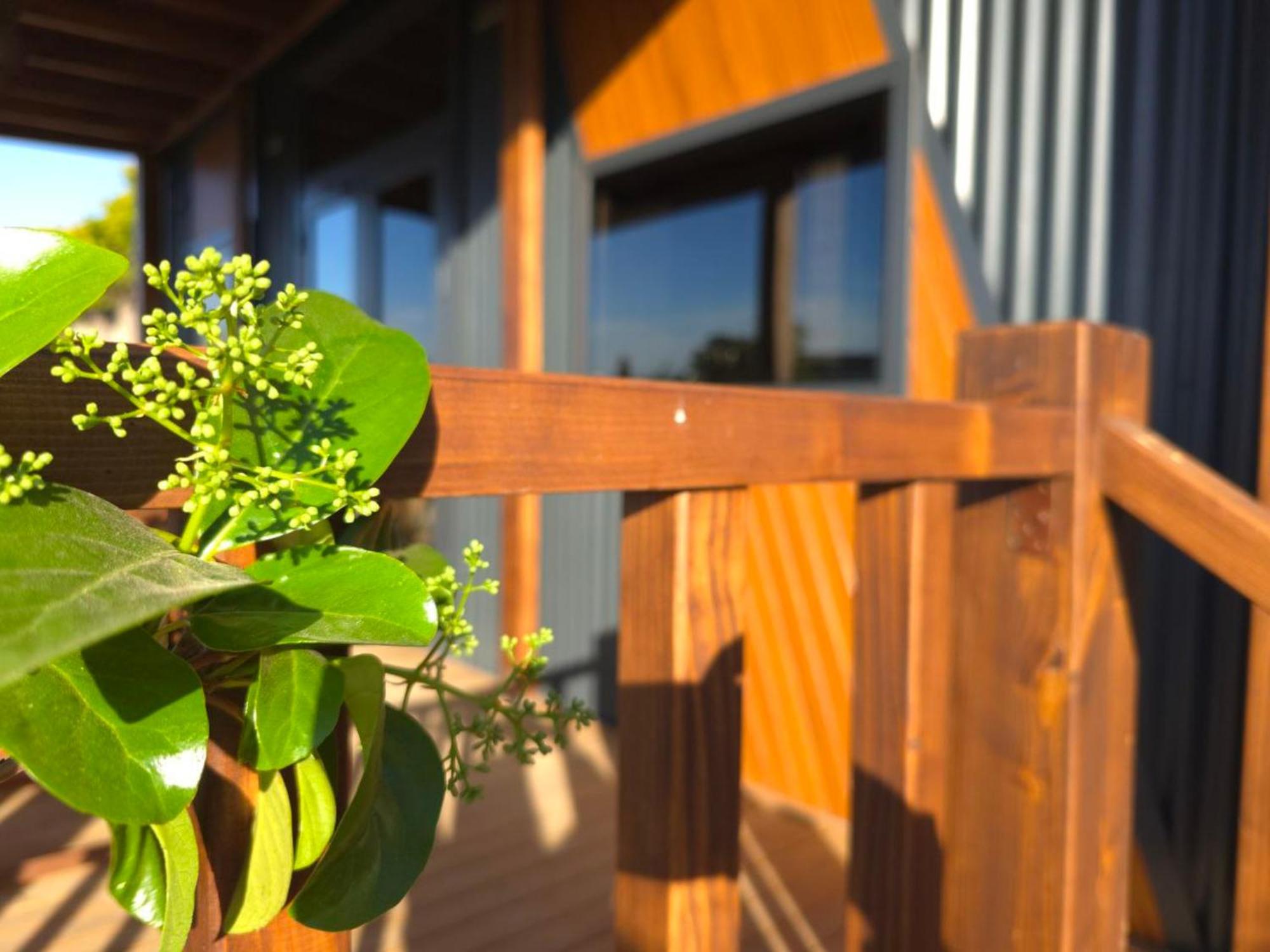 Natural Garden Tiny House Yalikavak别墅 外观 照片